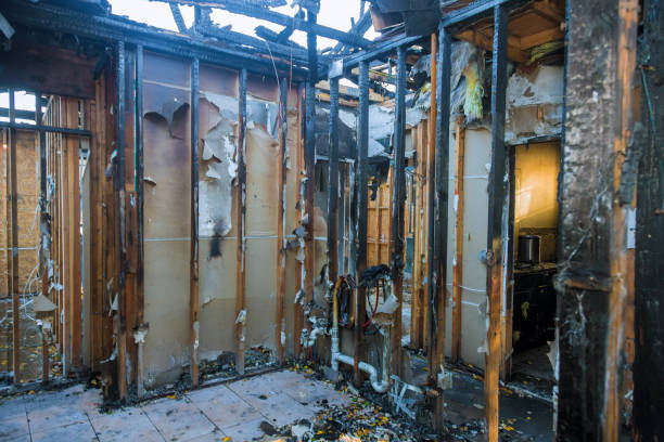 Professional Fire Damage Removal technician working in Crownsville, MD